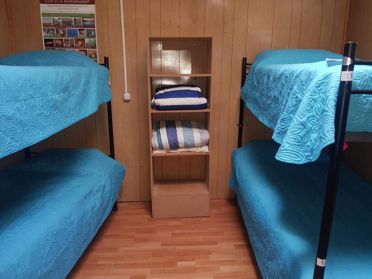 Hostal La Morenita Punta Arenas Exteriér fotografie