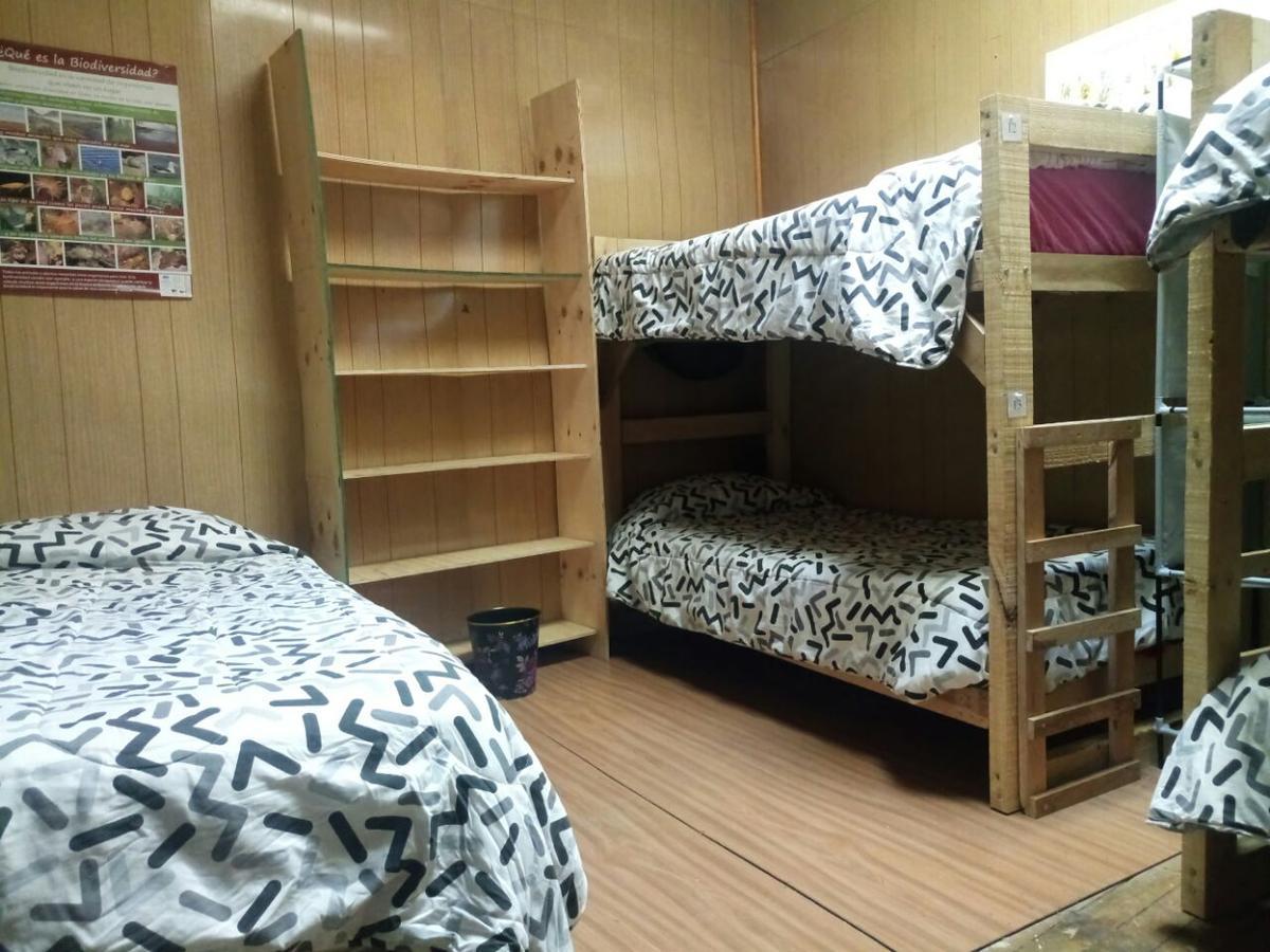 Hostal La Morenita Punta Arenas Exteriér fotografie